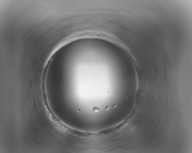 X0000054371530200508051542