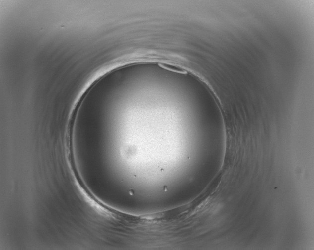 X0000054371531200508051542