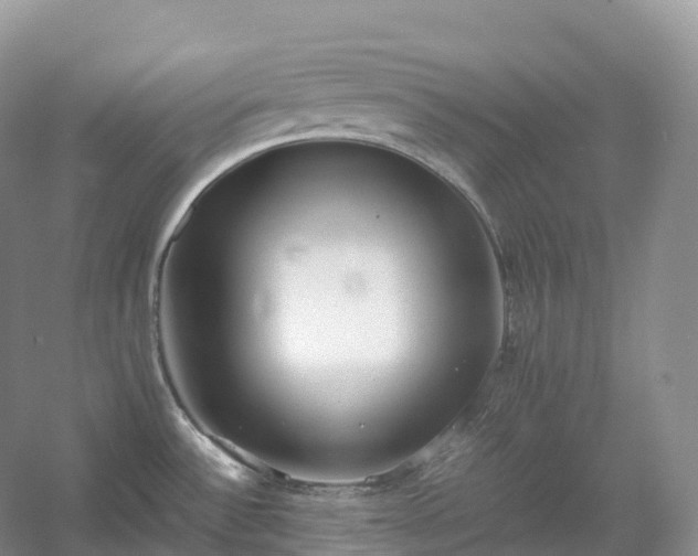 X0000054371532200508051542