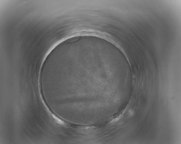 X0000054371533200508051542