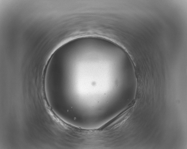 X0000054371534200508051542