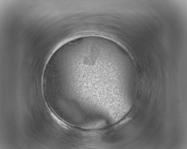 X0000054371535200508051542