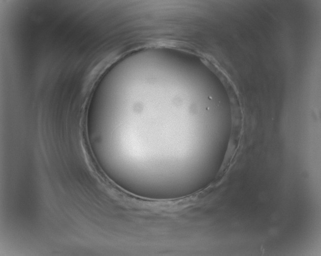 X0000054370001200508121552