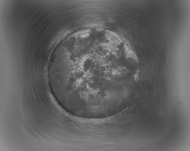 X0000054370002200508121552