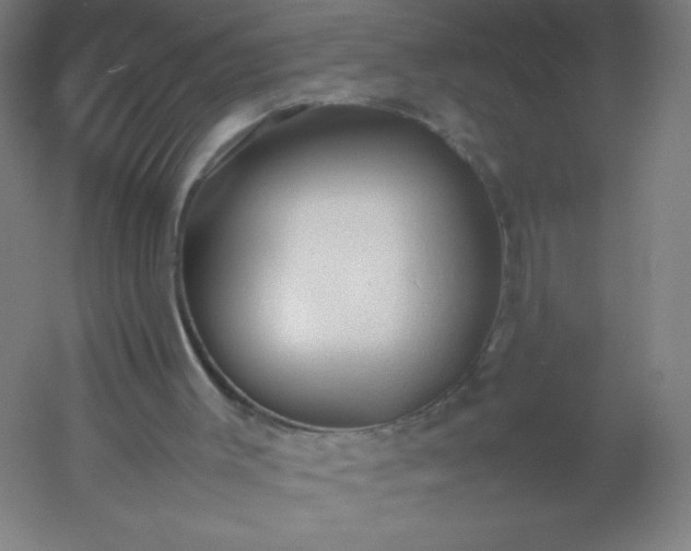 X0000054370003200508121552