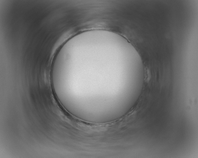 X0000054370004200508121552