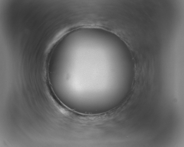 X0000054370005200508121552