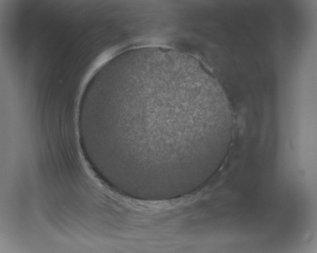 X0000054370006200508121552