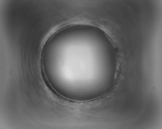 X0000054370007200508121552