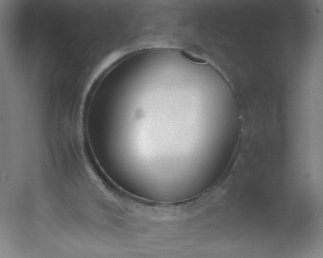 X0000054370008200508121552