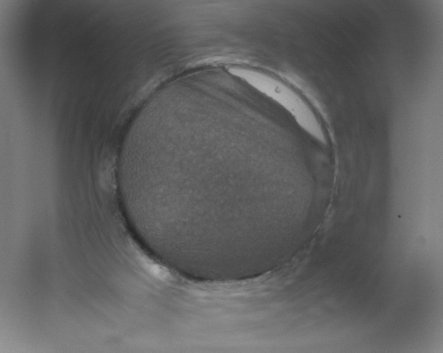 X0000054370009200508121552