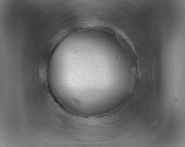 X0000054370010200508121552