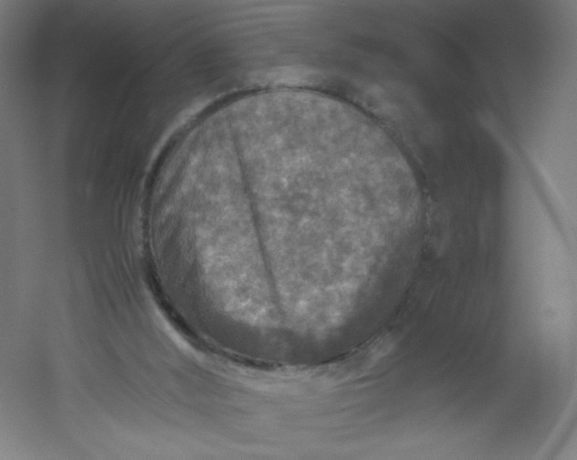 X0000054370012200508121552