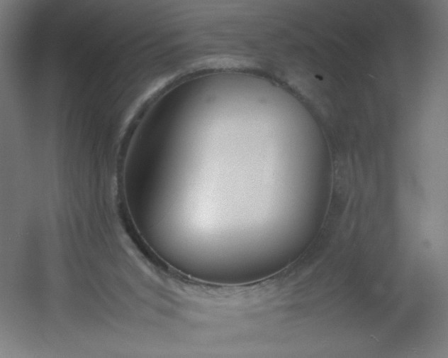 X0000054370015200508121552