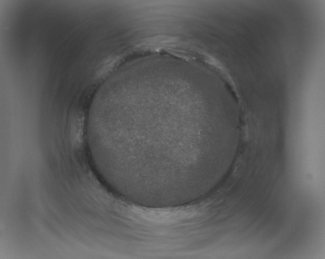 X0000054370018200508121552