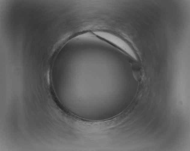 X0000054370019200508121552