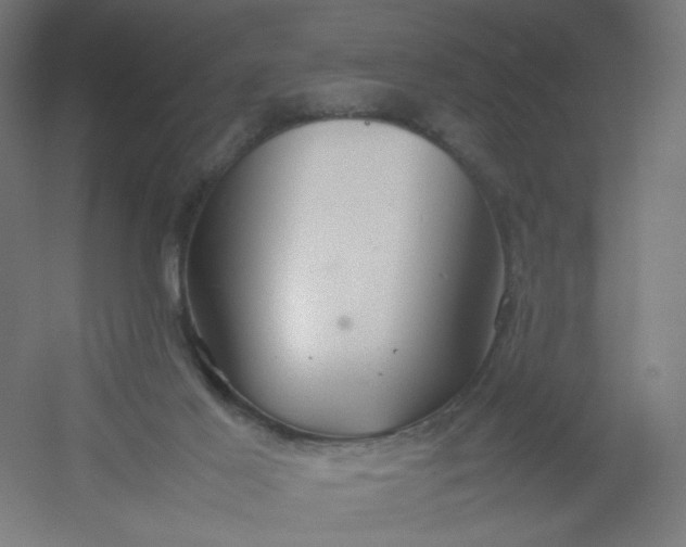 X0000054370021200508121552