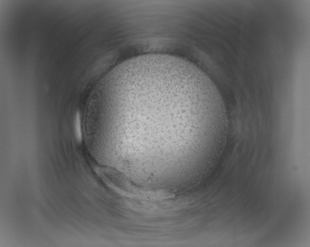 X0000054370022200508121552