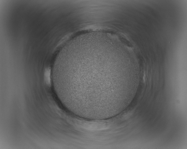 X0000054370024200508121552