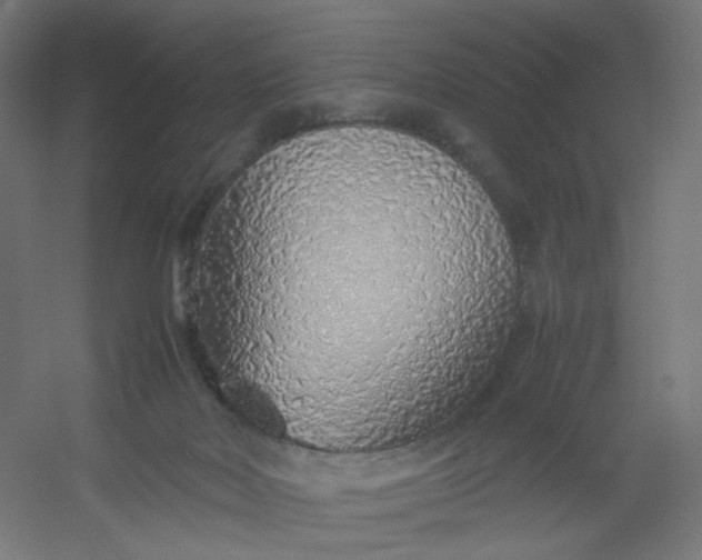 X0000054370026200508121552