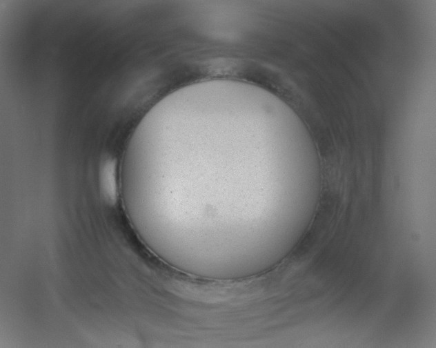 X0000054370028200508121552