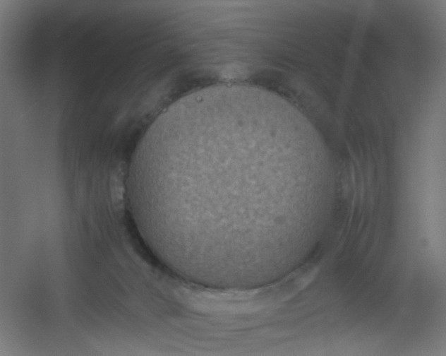 X0000054370032200508121552