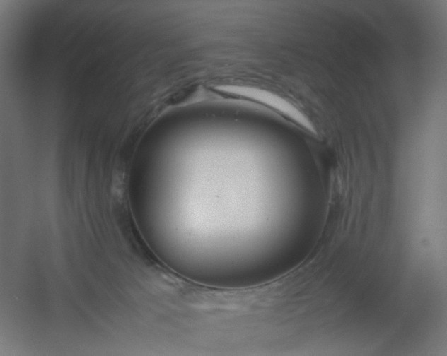 X0000054370033200508121552