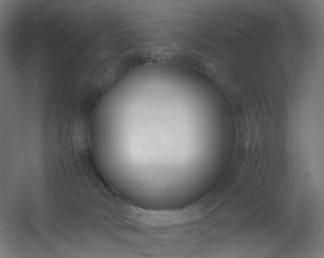 X0000054370034200508121552