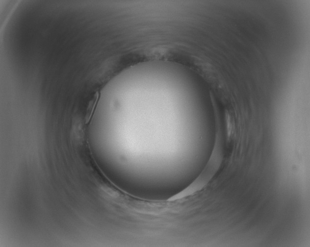 X0000054370037200508121552