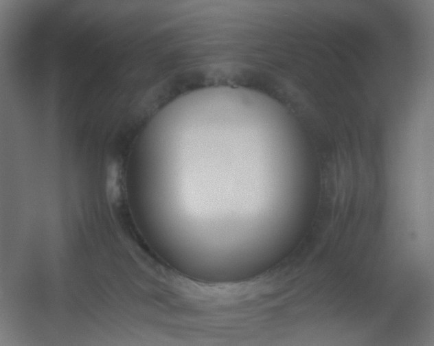 X0000054370038200508121552