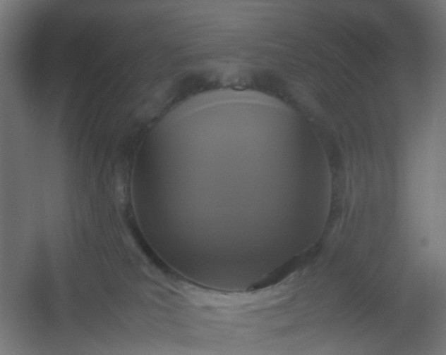 X0000054370039200508121552