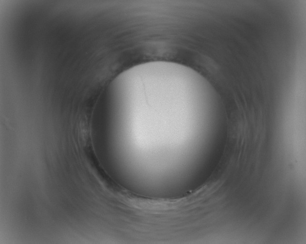 X0000054370040200508121552