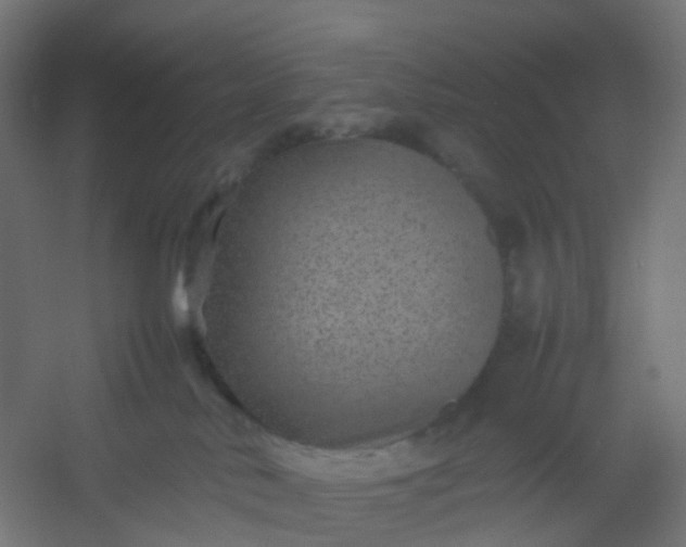 X0000054370042200508121552