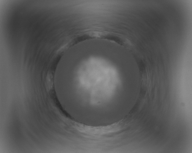 X0000054370043200508121552