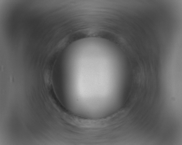 X0000054370044200508121552