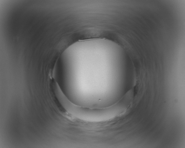 X0000054370045200508121552