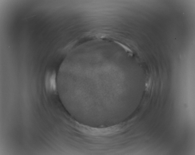 X0000054370046200508121552