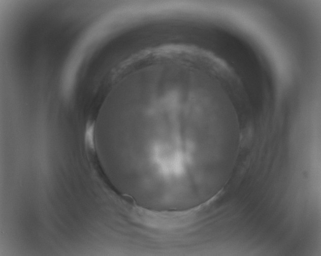 X0000054370047200508121552