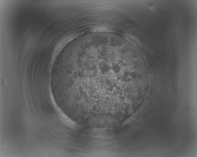 X0000054370049200508121551