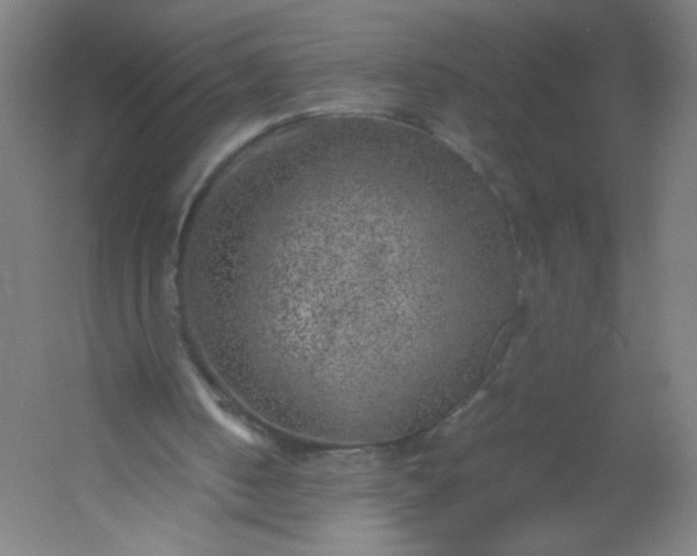 X0000054370050200508121551