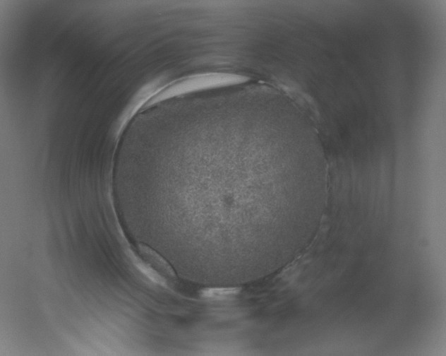 X0000054370051200508121551