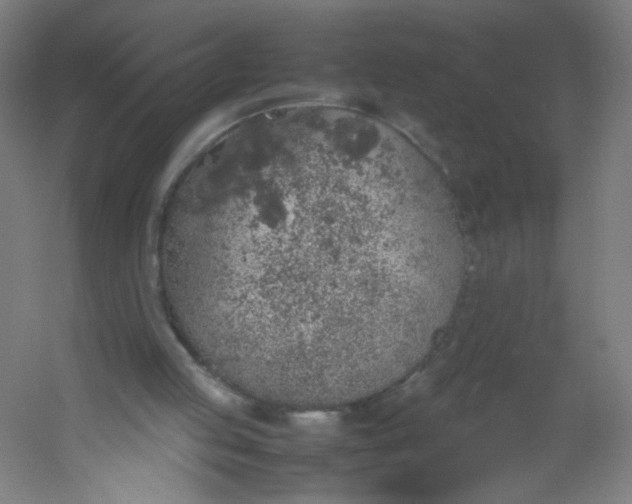 X0000054370053200508121551