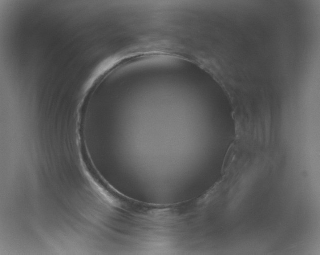 X0000054370054200508121551