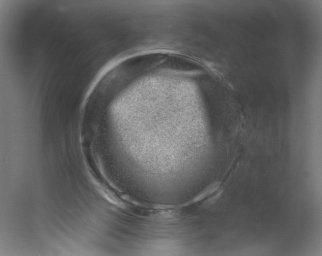 X0000054370056200508121551