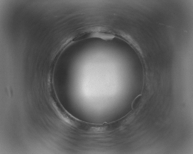 X0000054370057200508121551