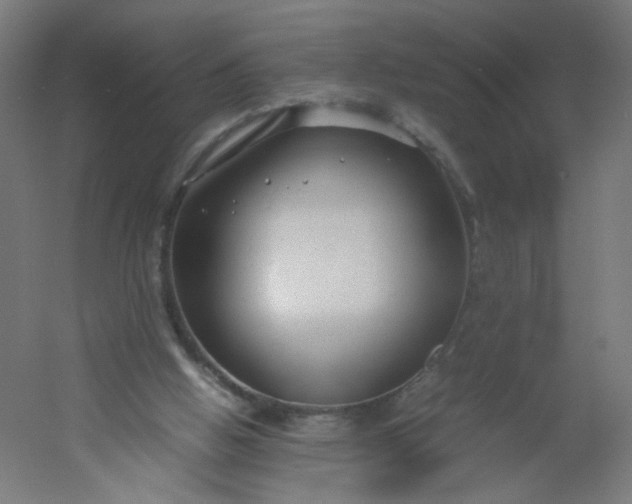 X0000054370058200508121551