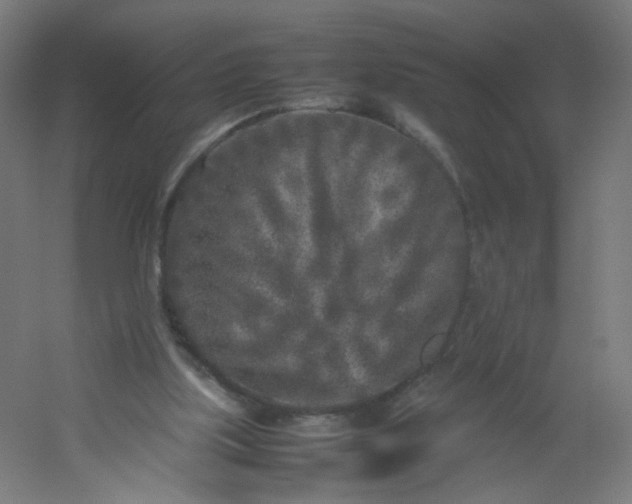 X0000054370059200508121551