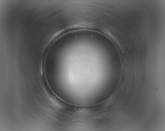 X0000054370062200508121551