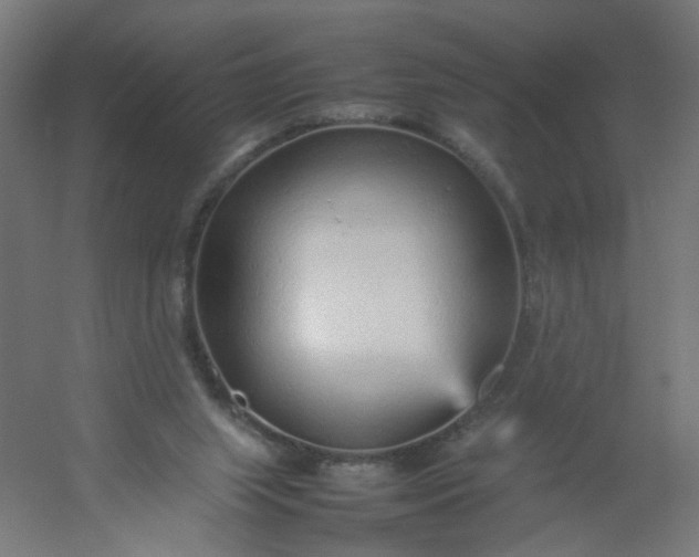 X0000054370063200508121551