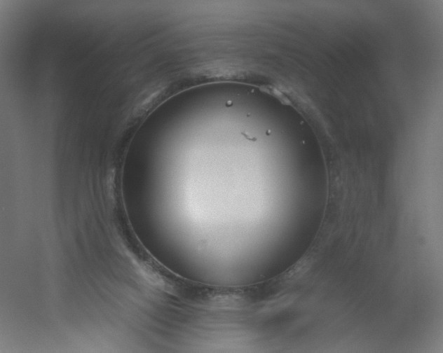 X0000054370066200508121551